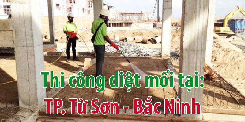 Diệt mối tại Bắc Ninh