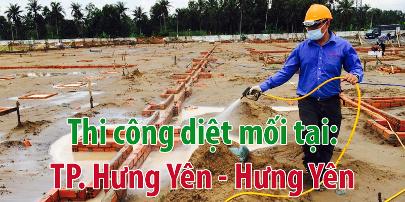 Diệt mối tại Hưng Yên