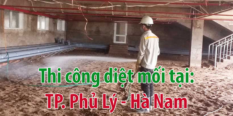 Diệt mối tại Hà Nam